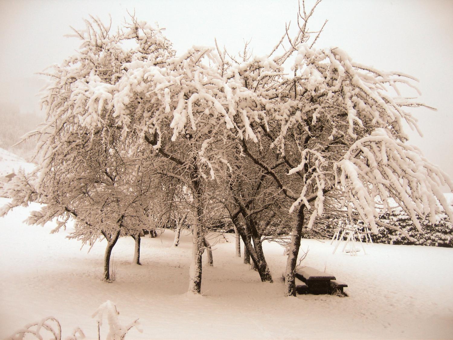Esprit Montagne Ξενοδοχείο Abondance Εξωτερικό φωτογραφία